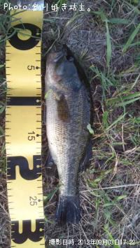 �֥�å��Х�