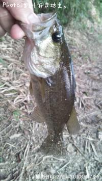 �֥�å��Х�