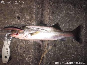 �����Х�