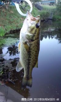 �֥�å��Х�