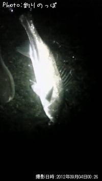 �����Х�