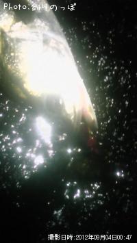 �����Х�