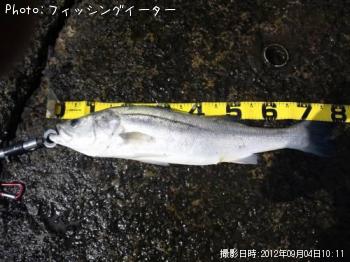 �����Х�