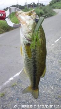 ¥Ö¥é¥Ã¥¯¥Ð¥¹