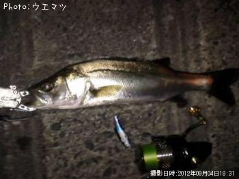 �����Х�