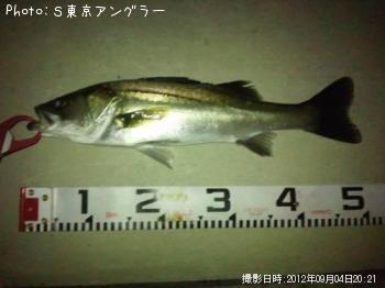 �����Х�