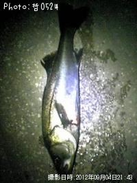 �����Х�