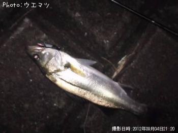 �����Х�