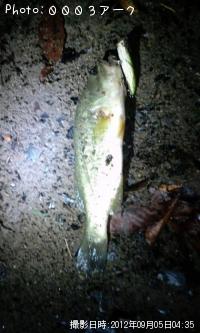 ¥Ö¥é¥Ã¥¯¥Ð¥¹