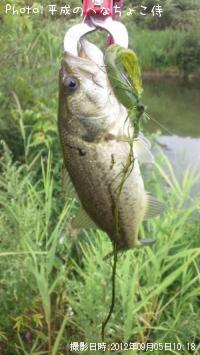 �֥�å��Х�