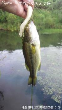 �֥�å��Х�