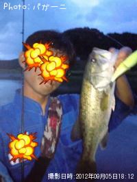 ¥Ö¥é¥Ã¥¯¥Ð¥¹