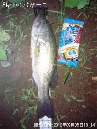 ¥Ö¥é¥Ã¥¯¥Ð¥¹