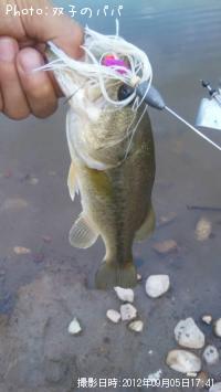 ¥Ö¥é¥Ã¥¯¥Ð¥¹