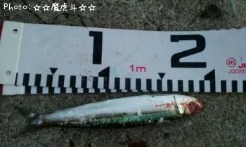 ����ᥤ�亮