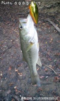 ¥Ö¥é¥Ã¥¯¥Ð¥¹