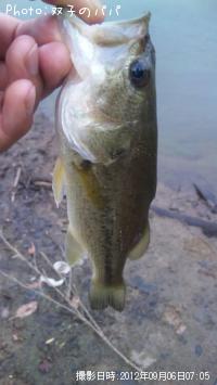 �֥�å��Х�