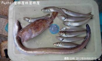 ¤¤¤Ä¤â¤Î¥¥¹Ã£¤È¤½¤ÎÃç´Öã¤Î¥¢¥Ê¥´¤ä¥«¥µ¥´¡Ê¾Ð¡Ë