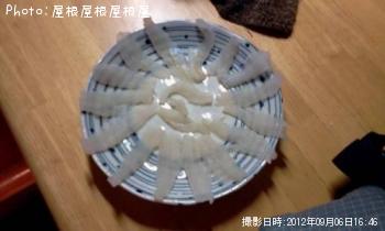 ¤¤¤Ä¤â¤Î¥¥¹Ã£¤È¤½¤ÎÃç´Öã¤Î¥¢¥Ê¥´¤ä¥«¥µ¥´¡Ê¾Ð¡Ë