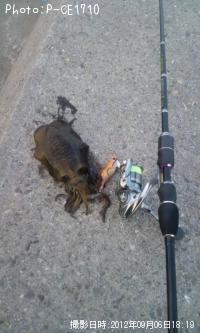 �����ꥤ��