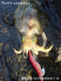 �����ꥤ��