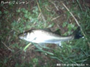 �����Х�