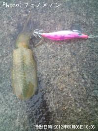 �����ꥤ��