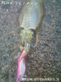 �����ꥤ��