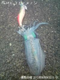 ¥¢¥ª¥ê¥¤¥«