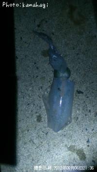 �����ꥤ��