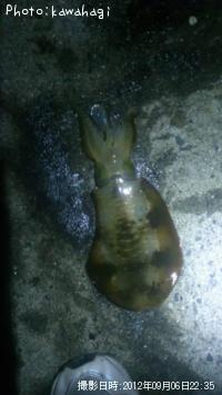 �����ꥤ��