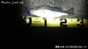 �֥�å��Х�