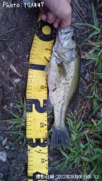 ¥Ö¥é¥Ã¥¯¥Ð¥¹