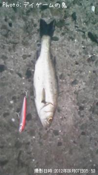 �����Х�