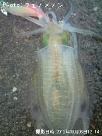 �����ꥤ��