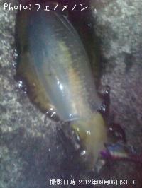 �����ꥤ��