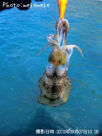 �����ꥤ��