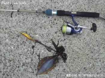 �����ꥤ��