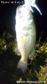 �֥�å��Х�