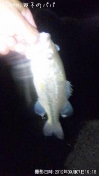 �֥�å��Х�