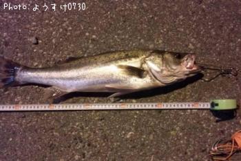 �����Х�