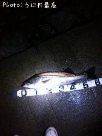 �����Х�