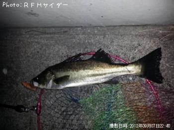 �����Х�