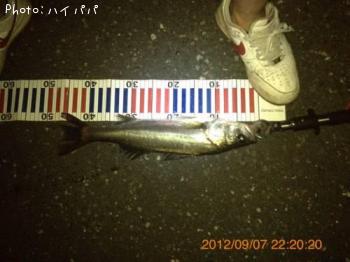 �����Х�