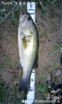 ¥Ö¥é¥Ã¥¯¥Ð¥¹