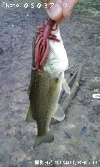 �֥�å��Х�