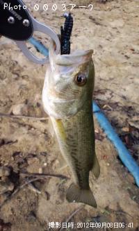 �֥�å��Х�