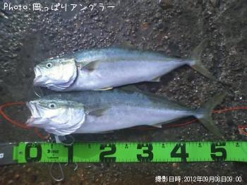 ¥¤¥Ê¥À