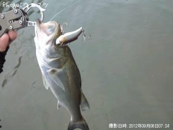 �����Х�