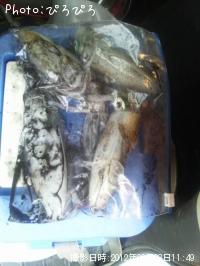 �����ꥤ��